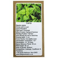 6 Degrees East Heirloom Herb Seeds - Catnip